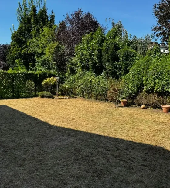 Gartenansicht nach Gartenpflege