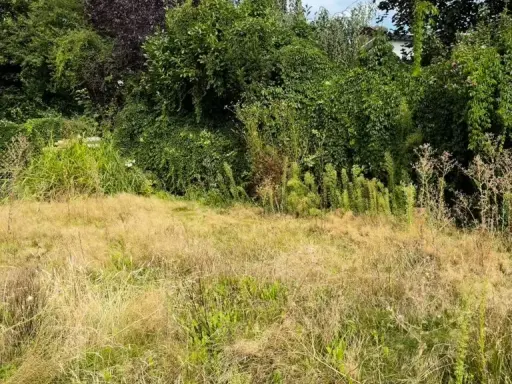 Professionelle Gartenpflege - Sonne Baudienstleistung Heppenheim